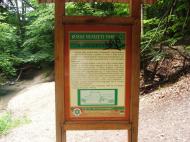 2005_0630Image0206.JPG