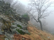 Ködös kilátás a kövek