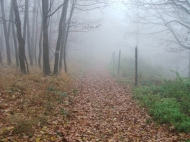 Ködös õszi erdei ösvé