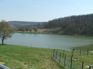 /galeria/20060409Szalka/2652/
