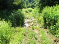 /galeria/20060708Szekrenyesko/3433/