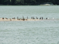 /galeria/20060826Esztergom/4328/