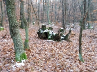/galeria/20061223Feherkut/5276/