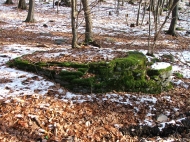 /galeria/20061223Feherkut/5293/