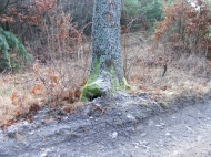 /galeria/20061223Feherkut/5292/