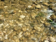 /galeria/20070628Bekasszoros/6430/