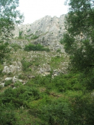 /galeria/20070704Tordaihasadek/8317/