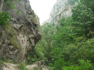 /galeria/20070704Tordaihasadek/8262/