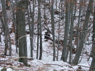 Havas erd� Reg�c k�zel�ben