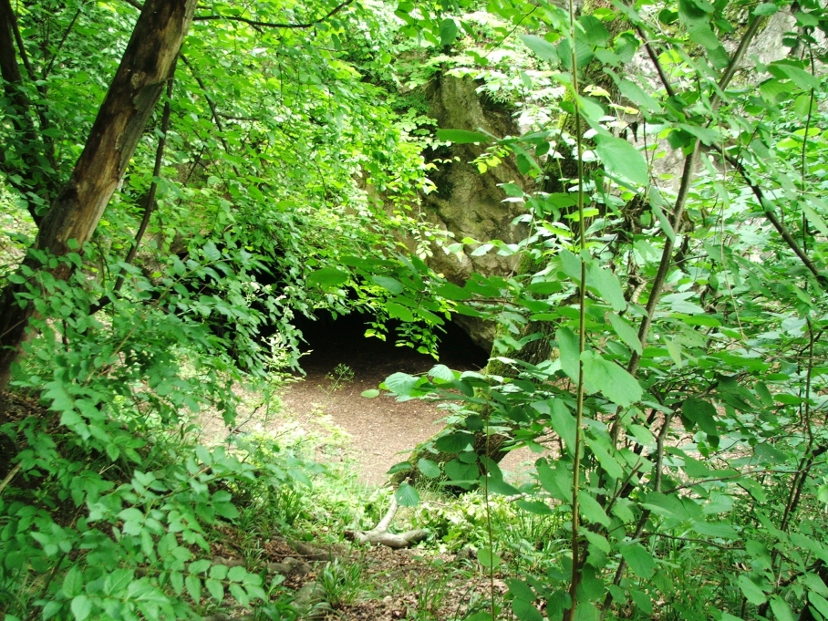 Odvaskõ-barlang