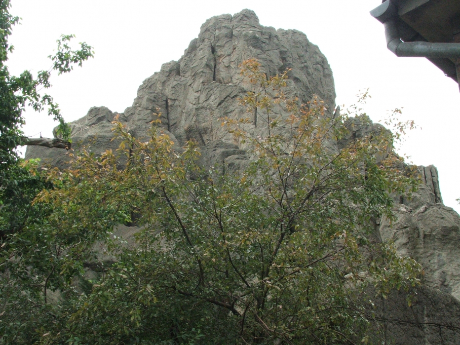 Nagy-szikla