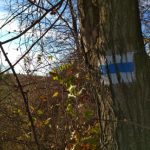 OKT Cserhát, Becske – Cserhátsurány, az OKT 19. szakasz teljesítése